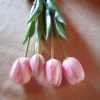 Mazzo tulipani