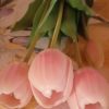 Mazzo tulipani - immagine 4