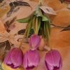 Mazzo tulipani - immagine 5