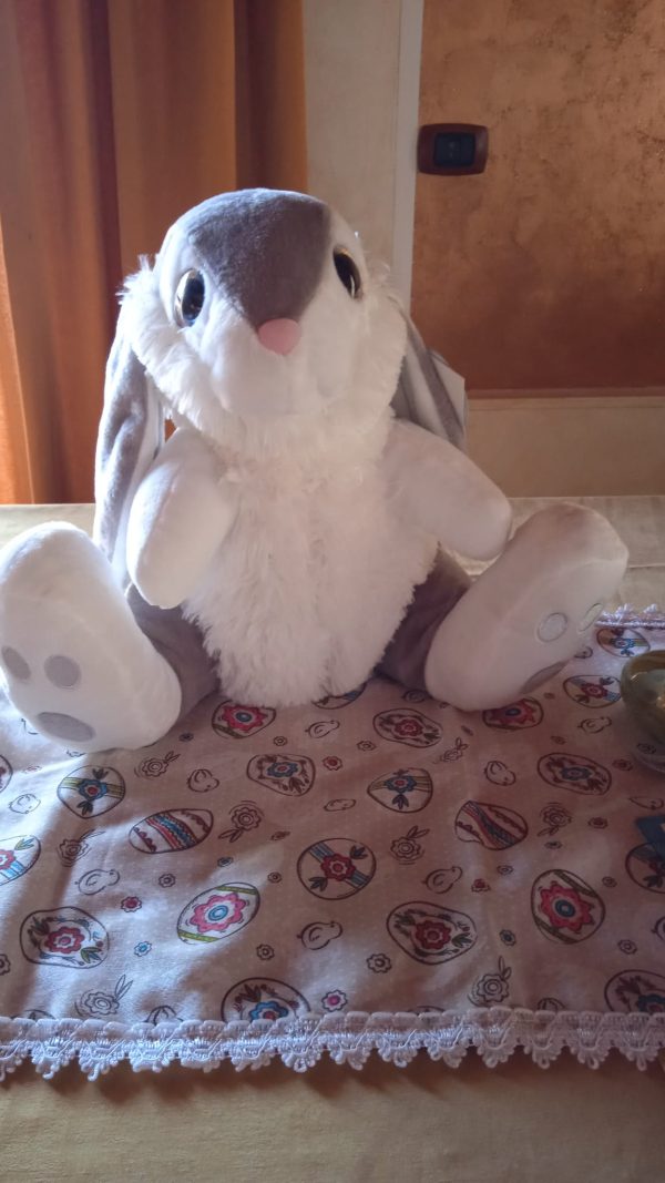 Coniglio peluche